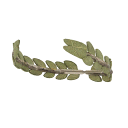 File:Hat Laurel Wreath.png