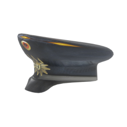 File:T Hauptmann 00.png