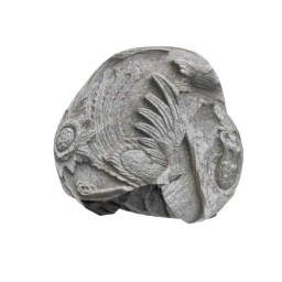 File:T CistercianSpecial 00.png