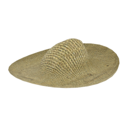 File:T SonoraStraw 00.png