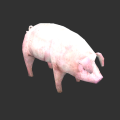Thumbnail for version as of 14:31, 21 May 2025