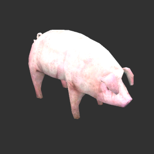 Pig.png
