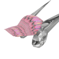 Thumbnail for version as of 17:54, 28 November 2024