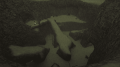Thumbnail for version as of 06:18, 30 November 2024