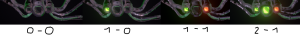 Rounds Display.png